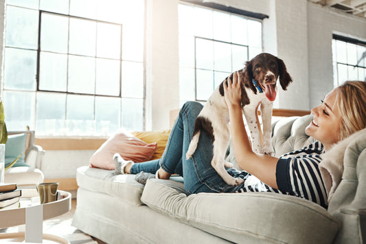 What to do when bringing home a new puppy