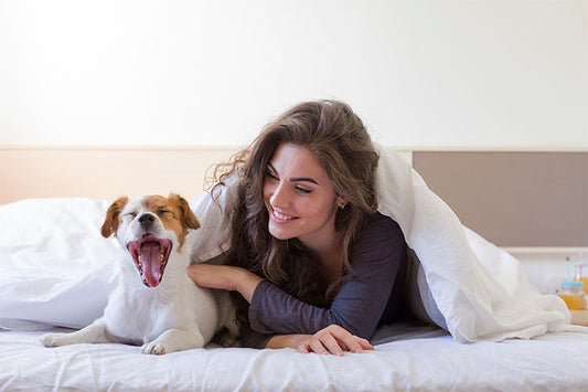 The 6 T’s of Puppy Dental Care